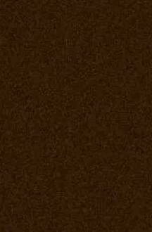 FS 8019 sintered stone finish for luxury front doors
