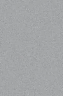 RAL 9006 sintered stone finish for luxury front doors