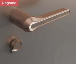 Brilianta — Surface coating with panel in the colour of the door leaf