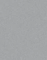 RAL 9006