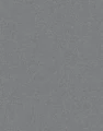 RAL 9007