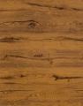 Twisted Oak