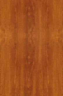 Golden Oak sintered stone finish for luxury front doors