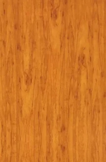 Rustic sintered stone finish for luxury front doors